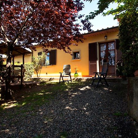 Agriturismo I Cerroni Montescudaio Exteriér fotografie