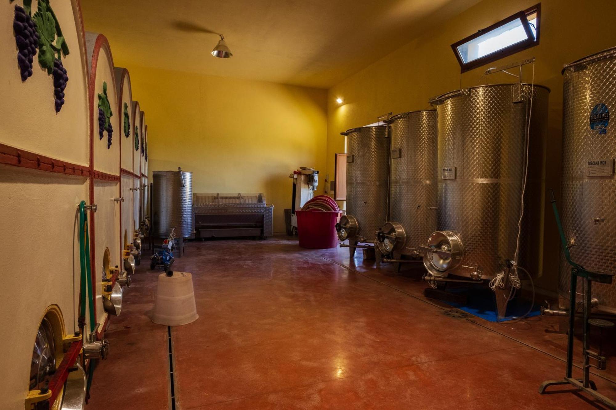 Agriturismo I Cerroni Montescudaio Exteriér fotografie