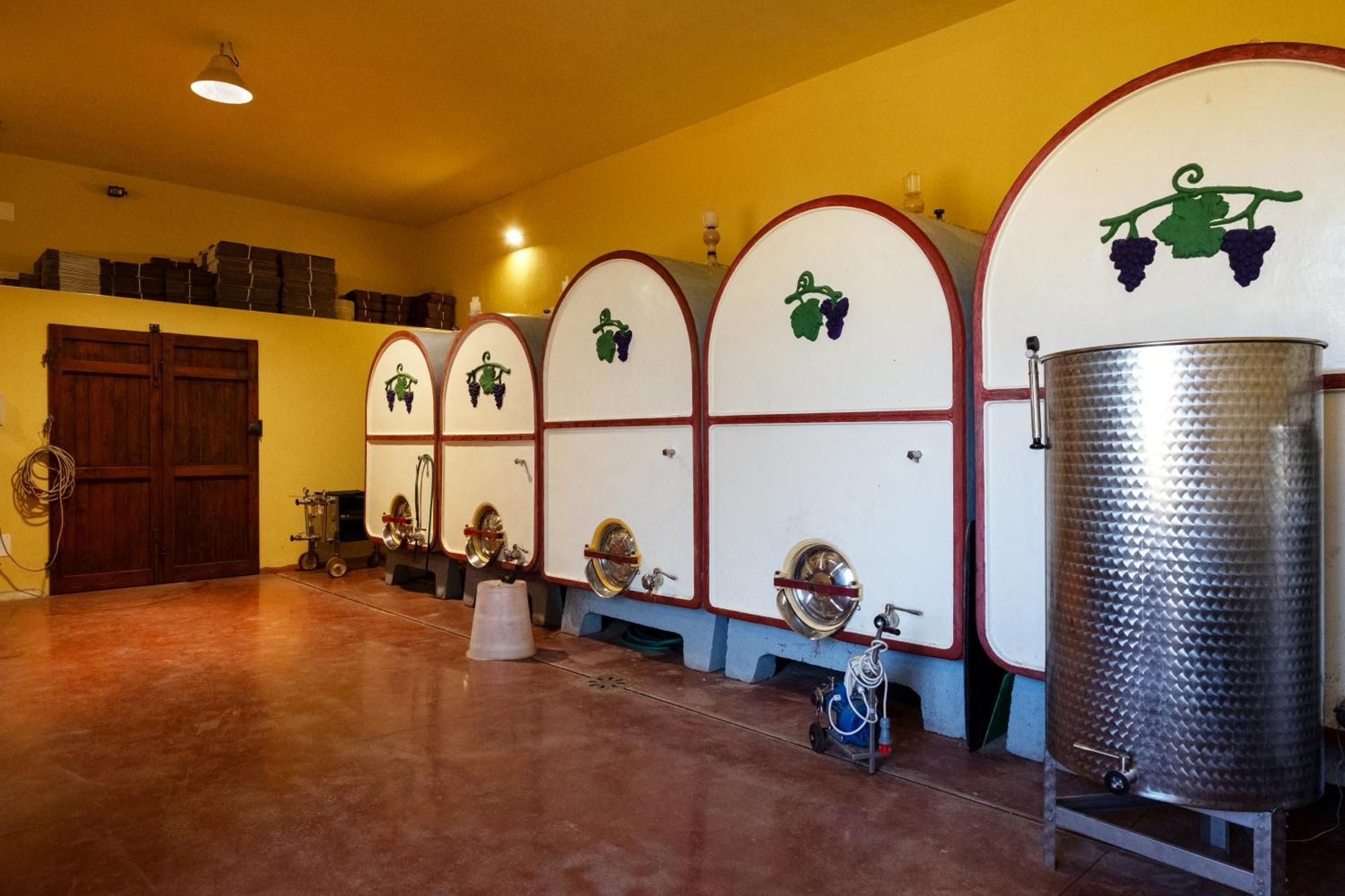 Agriturismo I Cerroni Montescudaio Exteriér fotografie