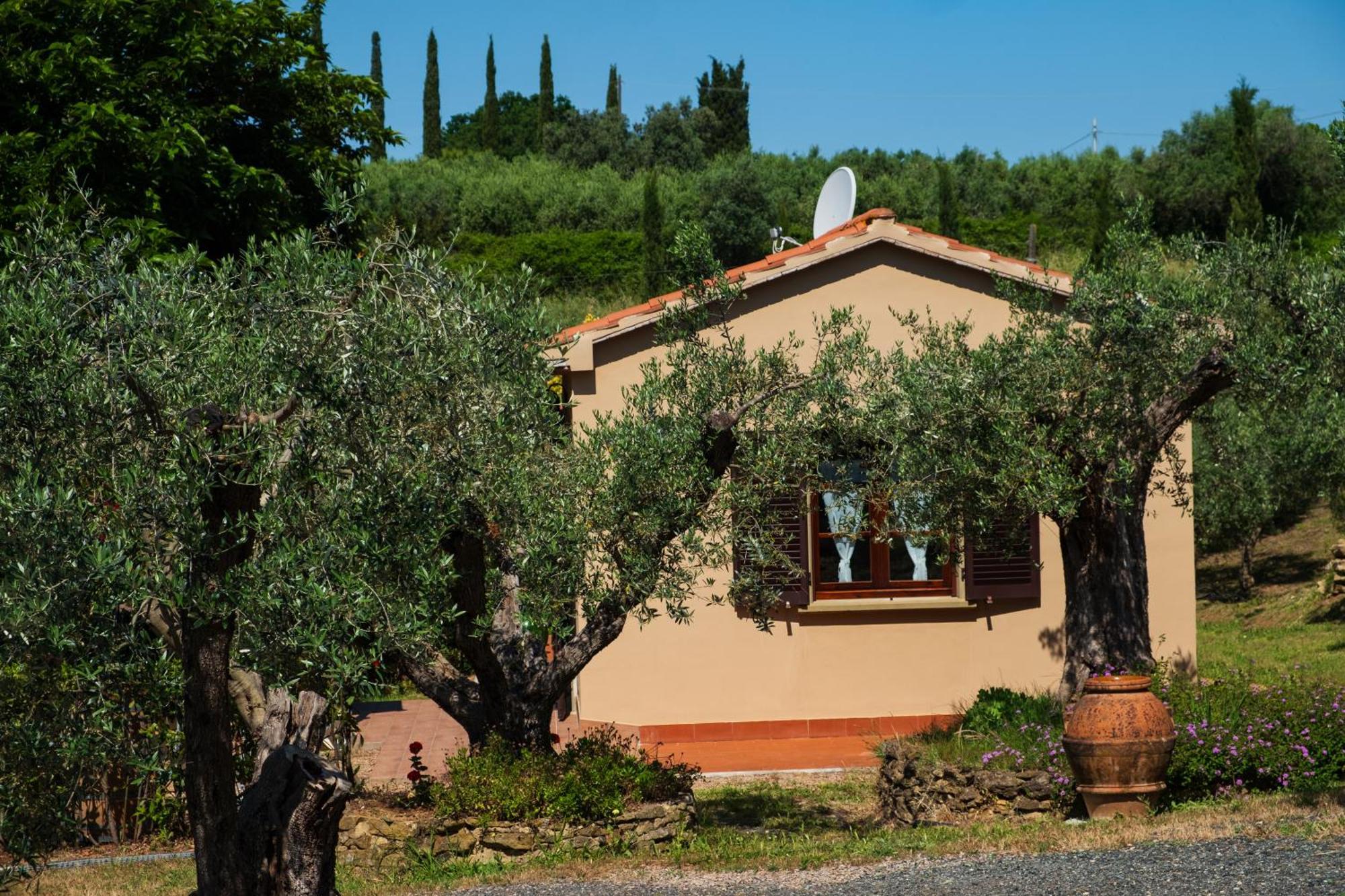 Agriturismo I Cerroni Montescudaio Exteriér fotografie